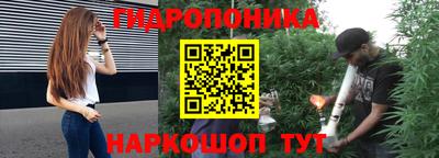 шишки Тулун