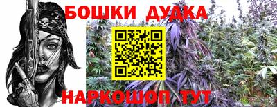 шишки Тулун