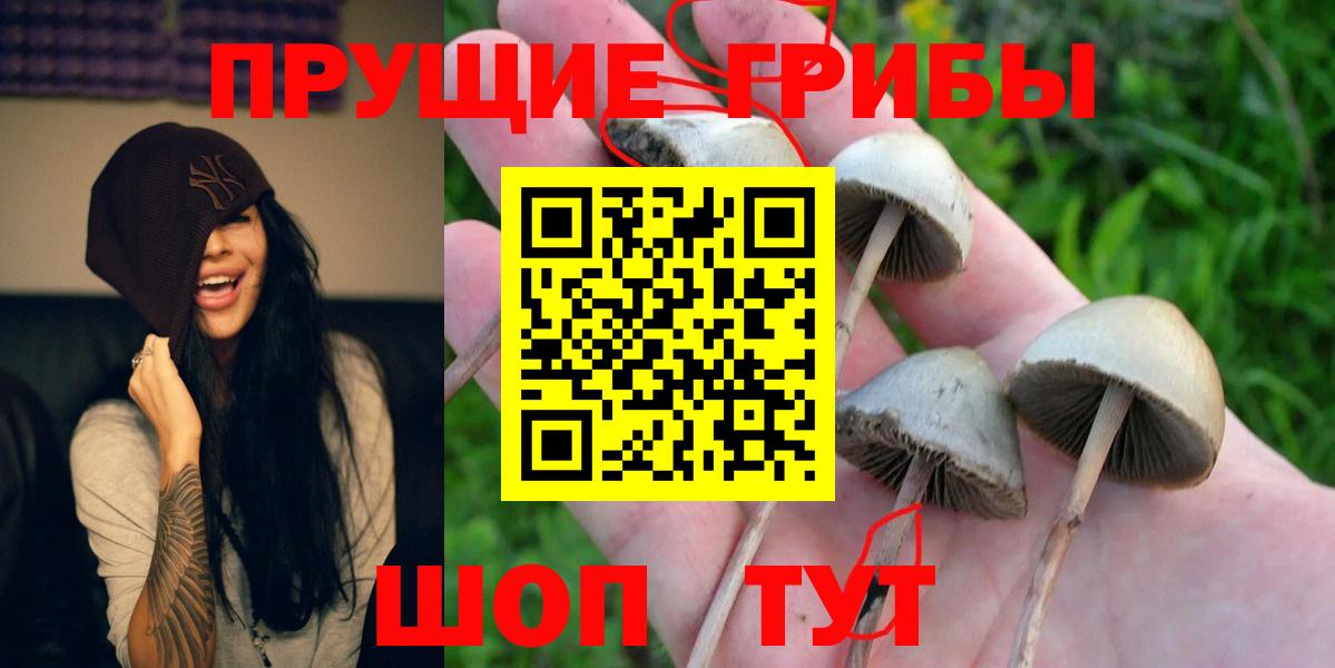 ЭКСТАЗИ Ялта
